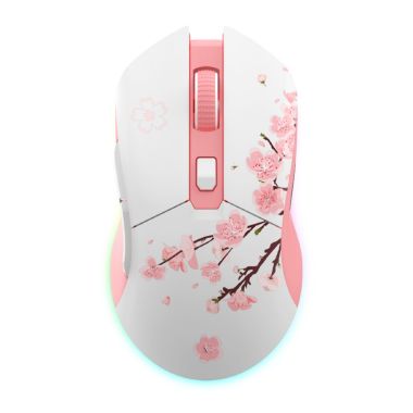 CHUỘT KHÔNG DÂY GAMING DAREU EM901X LED RGB