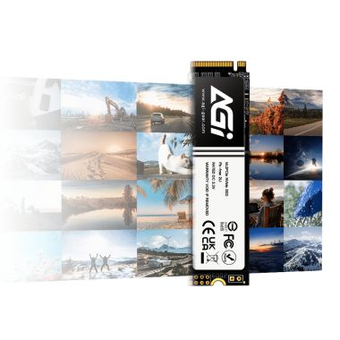 Ổ Cứng SSD NVMe AGI AI198 256GB Gen 3x4